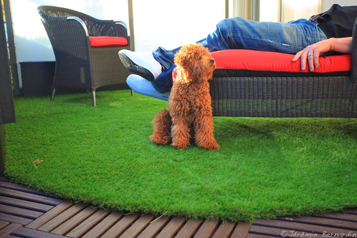 Grass floors are cozy balcony ideas for your condo or apartment.