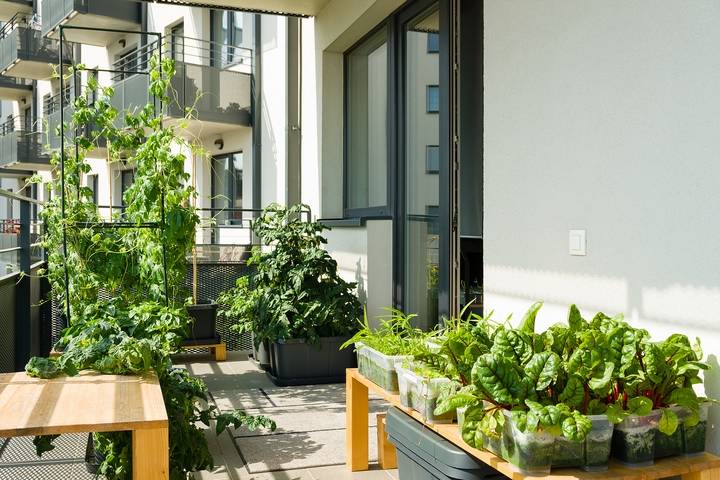 Another cozy balcony idea is to start a garden.
